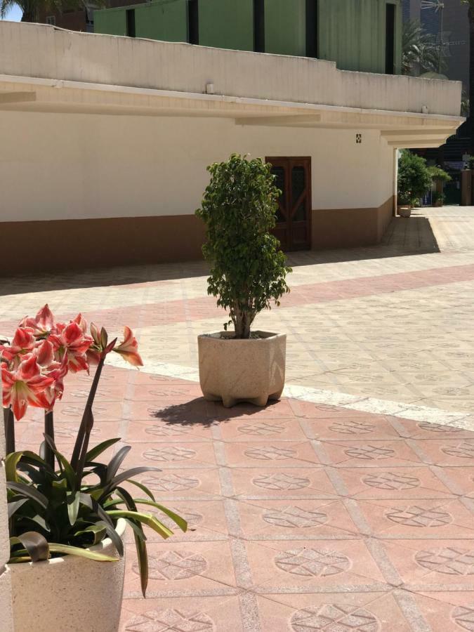 Apartamentos Provima Benidorm Luaran gambar